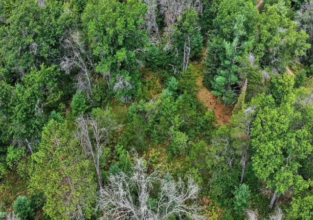 Photo 2 of Sale Pending at 00 Valley Vista Lot 20 Dr, Mio, MI 48647 | MLS# 50220599 | Listing updated on 2026-09-04