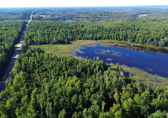 Photo 3 of Land for sale at Camp 23 Rd, Germfask, MI 49836 | MLS# 50221186 | Listing updated on 2026-09-09