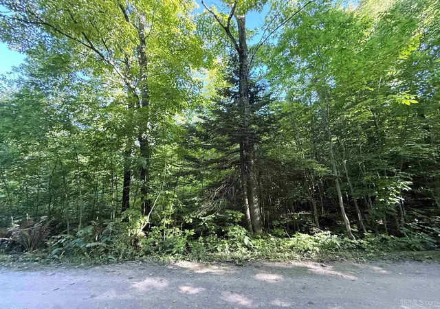 Photo 3 of Land for sale at Camp 23 Rd, Germfask, MI 49836 | MLS# 50221186 | Listing updated on 2026-09-09