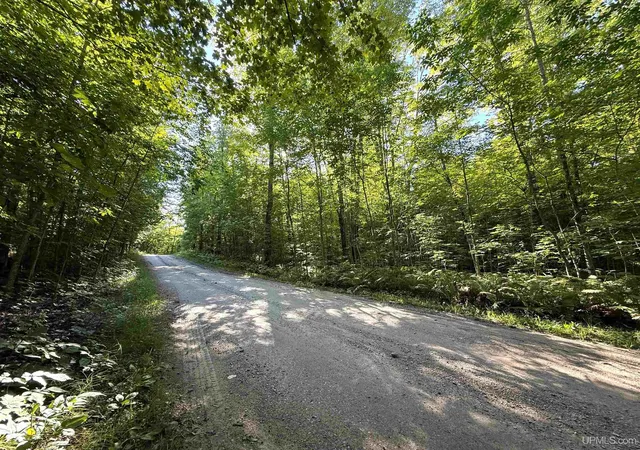 Photo 4 of Land for sale at Camp 23 Rd, Germfask, MI 49836 | MLS# 50221186 | Listing updated on 2026-09-09
