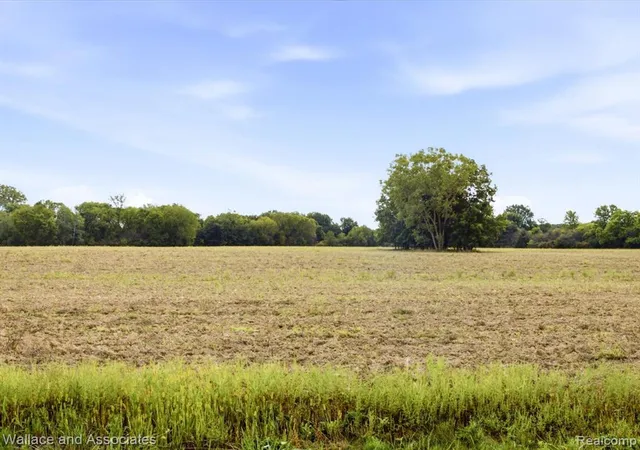 Photo 8 of Sale Pending at V/l Burnell Rd, Memphis, MI 48041 | MLS# 61030327 | Listing updated on 2026-09-28