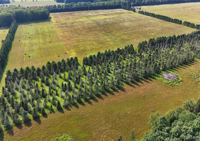 Photo 3 of Land for sale at Tbd Et Rd, Eben Junction, MI 49825 | MLS# 50220970 | Listing updated on 2026-09-05