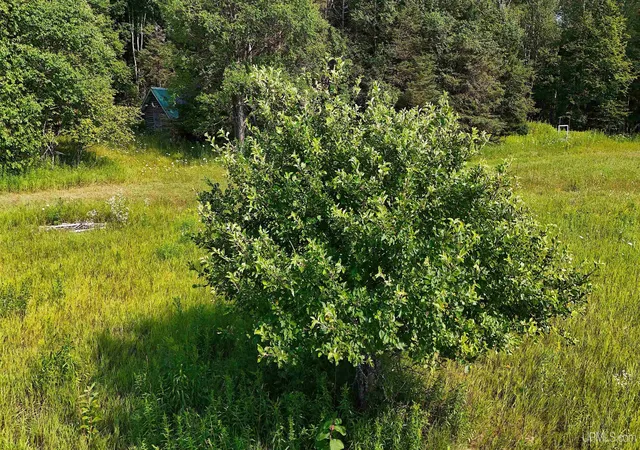 Photo 4 of Land for sale at Tbd Et Rd, Eben Junction, MI 49825 | MLS# 50220970 | Listing updated on 2026-09-05