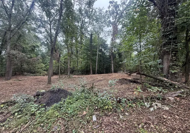 Photo 3 of Land for sale at Vl Lakeview Dr, Dowagiac, MI 49047 | MLS# 70559457 | Listing updated on 2026-09-26