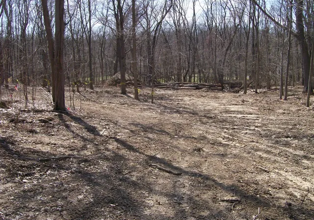 Photo 3 of Land for sale at 1610 Whitetail Cir, Niles, MI 49120 | MLS# 70552779 | Listing updated on 2026-09-09