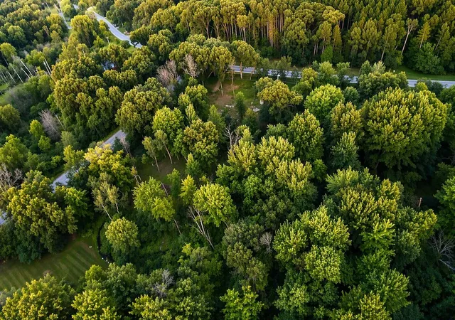 Photo 3 of Land for sale at 4199 3 Mile Rd, Grand Rapids, MI 49525 | MLS# 70556281 | Listing updated on 2026-09-09