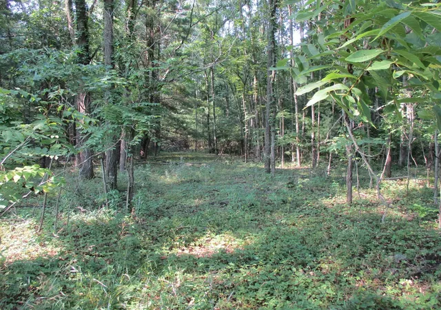 Photo 1 of Land for sale at 105th Avenue, Pullman, MI 49450 | MLS# 70514655 | Listing updated on 2026-09-09