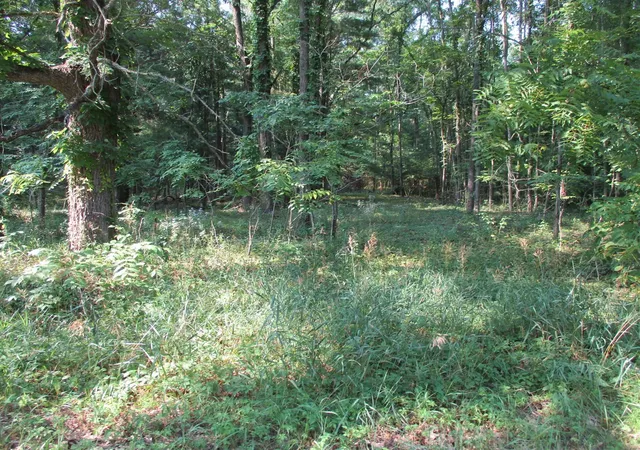 Photo 2 of Land for sale at 105th Avenue, Pullman, MI 49450 | MLS# 70514655 | Listing updated on 2026-09-09