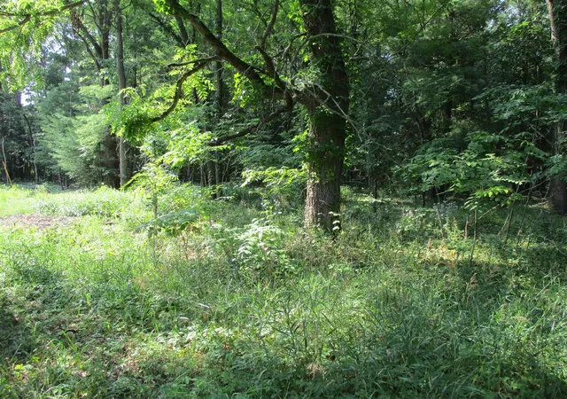 Photo 3 of Land for sale at 105th Avenue, Pullman, MI 49450 | MLS# 70514655 | Listing updated on 2026-09-09