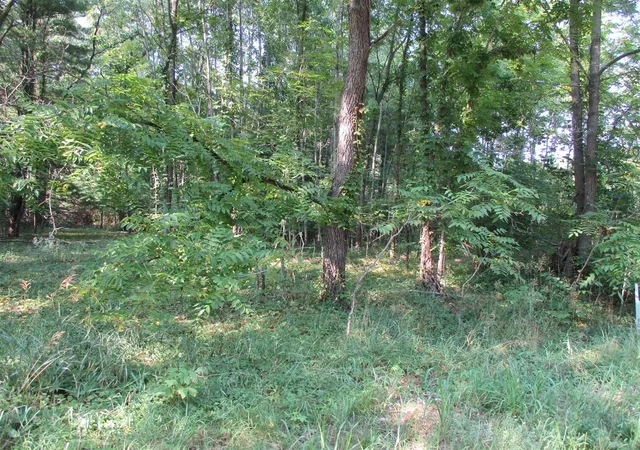 Photo 4 of Land for sale at 105th Avenue, Pullman, MI 49450 | MLS# 70514655 | Listing updated on 2026-09-09