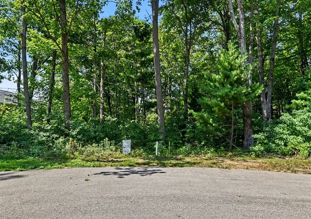 Photo 1 of Land for sale at 14672 Crst View Ct, South Haven, MI 49090 | MLS# 70556742 | Listing updated on 2026-09-04