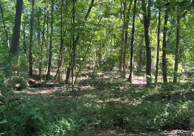 Photo 3 of Land for sale at Lakeshore Rd, Lakeside, MI 49116 | MLS# 70556919 | Listing updated on 2026-09-08