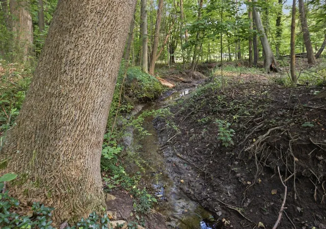 Photo 4 of Land for sale at Lakeshore Rd, Lakeside, MI 49116 | MLS# 70556919 | Listing updated on 2026-09-08