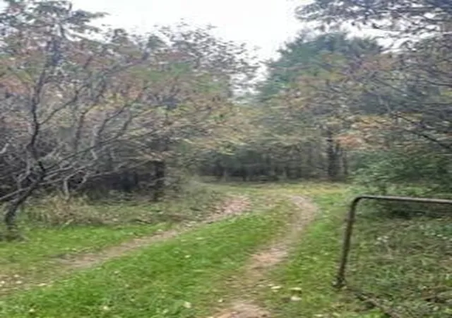 Photo 2 of Land for sale at 10000 Teachout Rd, Onsted, MI 49265 | MLS# 70562333 | Listing updated on 2026-10-08