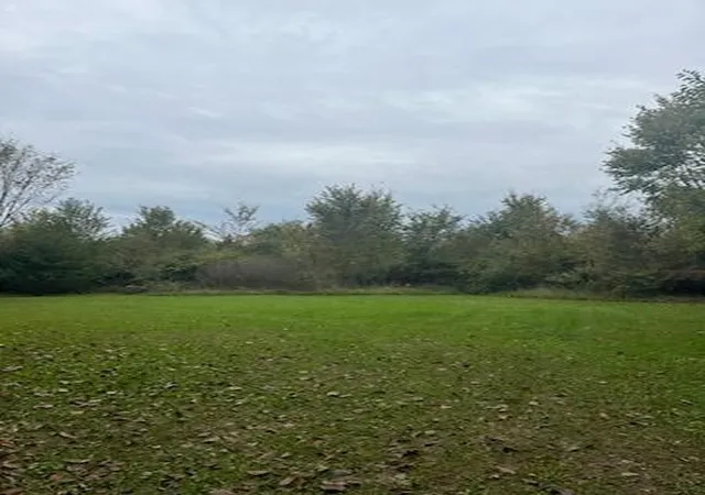 Photo 3 of Land for sale at 10000 Teachout Rd, Onsted, MI 49265 | MLS# 70562333 | Listing updated on 2026-10-08