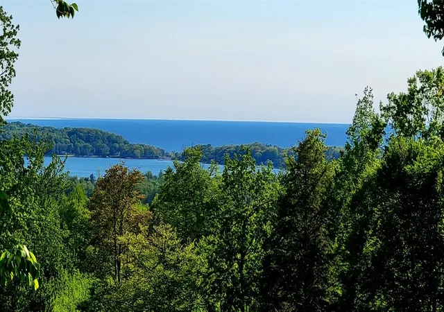 Photo 1 of Land for sale at V/l W Indigo Trl, Onekama, MI 49675 | MLS# 70558021 | Listing updated on 2026-09-11