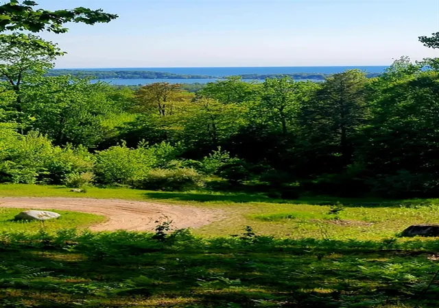 Photo 2 of Land for sale at V/l W Indigo Trl, Onekama, MI 49675 | MLS# 70558021 | Listing updated on 2026-09-11