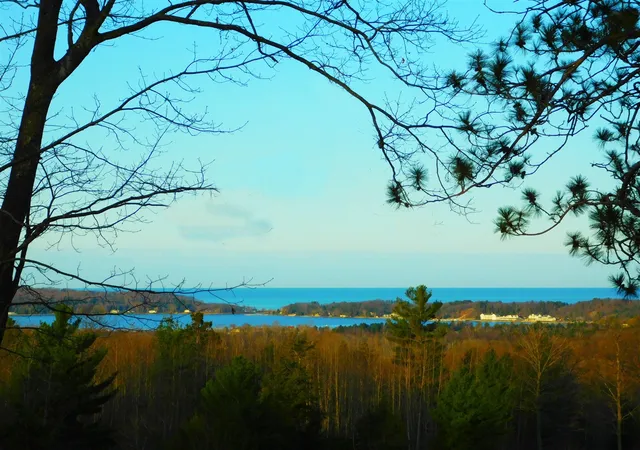 Photo 3 of Land for sale at V/l W Indigo Trl, Onekama, MI 49675 | MLS# 70558021 | Listing updated on 2026-09-11