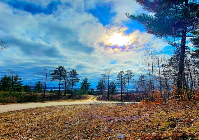 Photo 3 of Land for sale at V/l W Indigo Trl, Onekama, MI 49675 | MLS# 70558021 | Listing updated on 2026-09-11