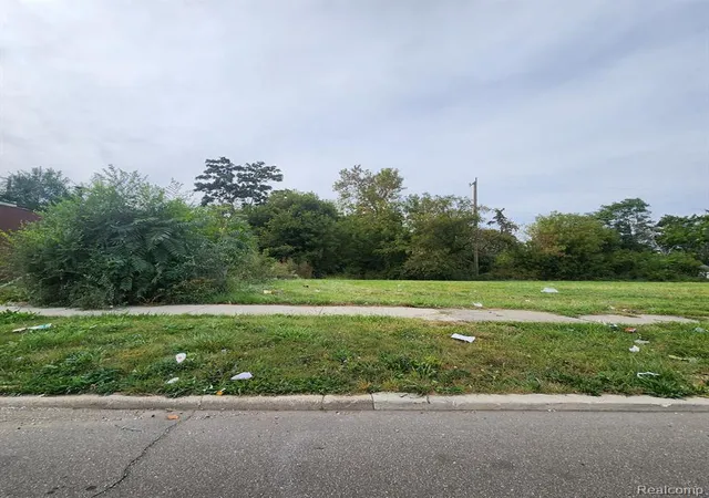 Photo 2 of Land for sale at 8441 Southfield Fwy, Detroit, MI 48228 1939 | MLS# 60345299 | Listing updated on 2026-09-24