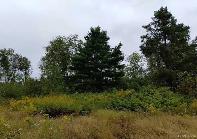 Photo 1 of Sale Pending at Tbd No Rock 38th Rd, Rock, MI 49880 | MLS# 50220905 | Listing updated on 2026-10-08