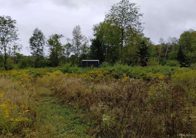 Photo 2 of Sale Pending at Tbd No Rock 38th Rd, Rock, MI 49880 | MLS# 50220905 | Listing updated on 2026-10-08