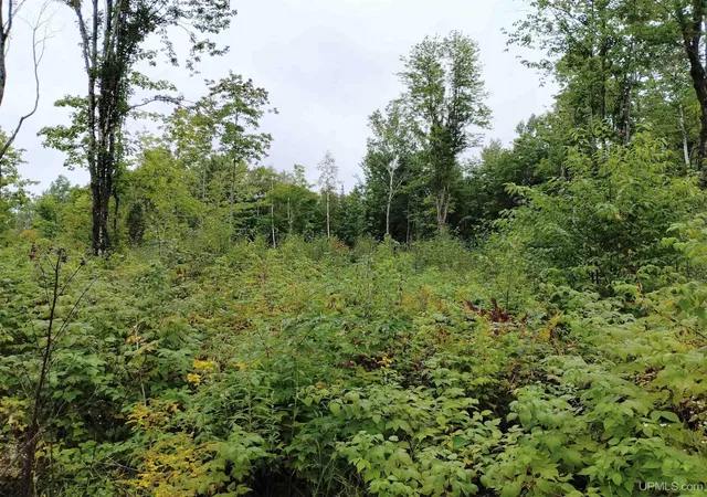 Photo 3 of Sale Pending at Tbd No Rock 38th Rd, Rock, MI 49880 | MLS# 50220905 | Listing updated on 2026-10-08