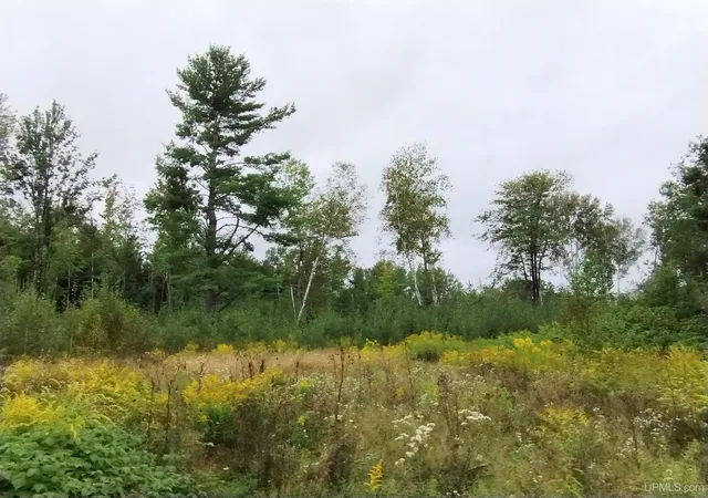 Photo 3 of Sale Pending at Tbd No Rock 38th Rd, Rock, MI 49880 | MLS# 50220905 | Listing updated on 2026-10-08