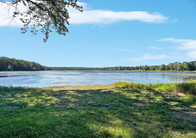 Photo 1 of Land for sale at 231 Acres Erickson Dr, Iron River, MI 49935 | MLS# 50221779 | Listing updated on 2026-09-16