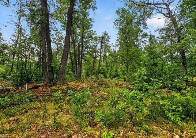 Photo 2 of Sale Pending at 00 Valley Vista Lot 12 Dr, Mio, MI 48647 | MLS# 50220601 | Listing updated on 2026-09-04