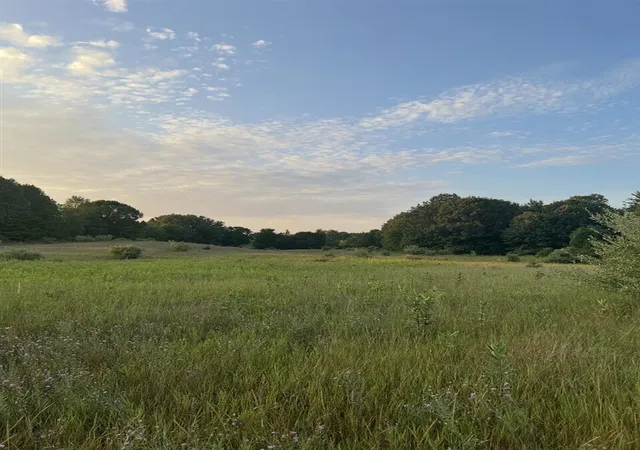 Photo 2 of Land for sale at V/l E Pierce Rd, Shelby, MI 49455 | MLS# 70564137 | Listing updated on 2026-10-13