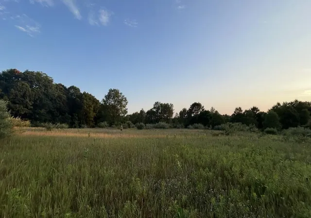 Photo 3 of Land for sale at V/l E Pierce Rd, Shelby, MI 49455 | MLS# 70564137 | Listing updated on 2026-10-13