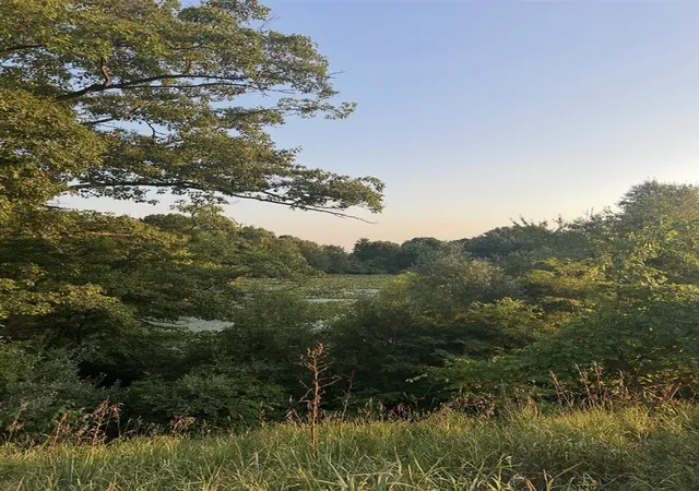 Photo 4 of Land for sale at V/l E Pierce Rd, Shelby, MI 49455 | MLS# 70564137 | Listing updated on 2026-10-13