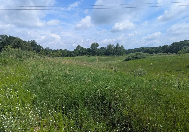 Photo 2 of Land for sale at Lot 1 Vicary Rd, Cement City, MI 49233 | MLS# 70545031 | Listing updated on 2026-09-09