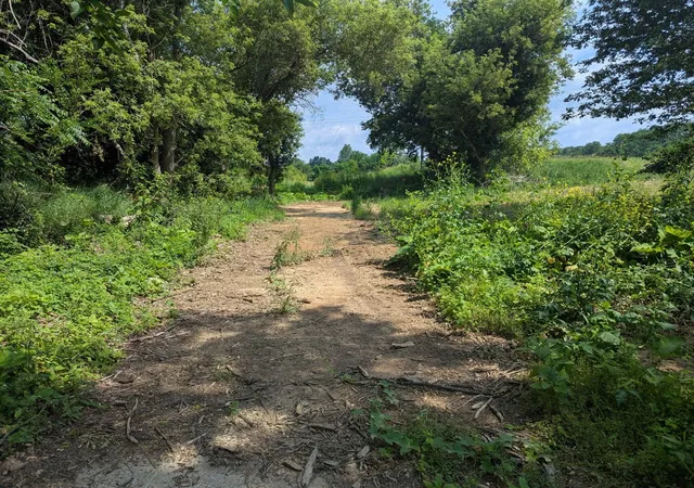 Photo 4 of Land for sale at Lot 1 Vicary Rd, Cement City, MI 49233 | MLS# 70545031 | Listing updated on 2026-09-09