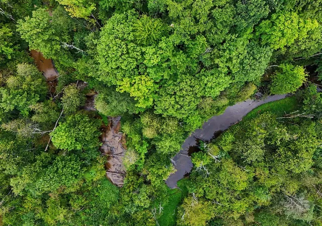 Photo 4 of Land for sale at 4079 N Stiles Rd, Scottville, MI 49454 | MLS# 70554158 | Listing updated on 2026-10-06