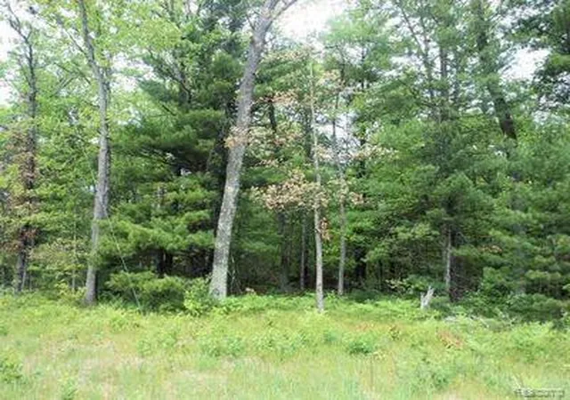 Land for sale at 0000 E Website, Idlewild, MI 49642 | MLS# 61030268