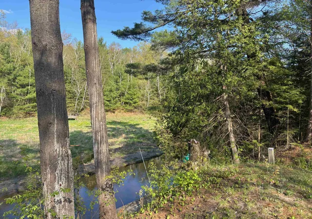 Photo 3 of Land for sale at 2706 Birchview Trl, Alger, MI 48610 | MLS# 50221511 | Listing updated on 2026-09-11