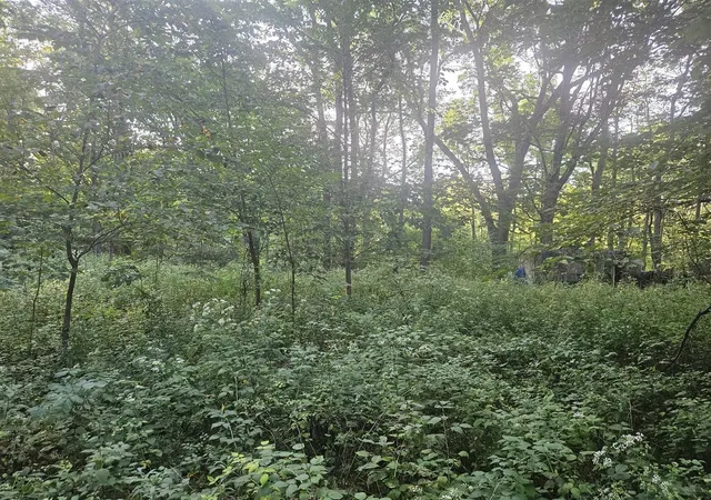 Photo 2 of Sale Pending at 24780 60 1/2 St, Bangor, MI 49013 | MLS# 70556706 | Listing updated on 2026-09-06