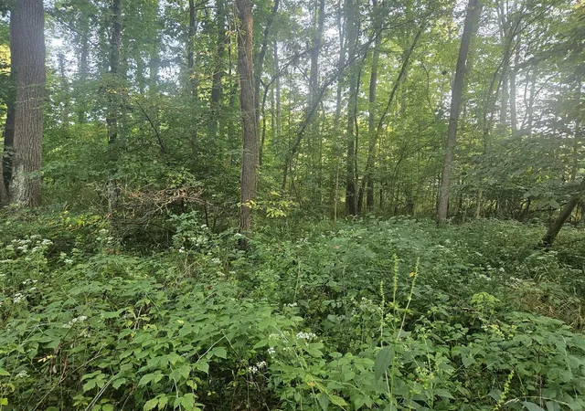 Photo 3 of Sale Pending at 24780 60 1/2 St, Bangor, MI 49013 | MLS# 70556706 | Listing updated on 2026-09-06