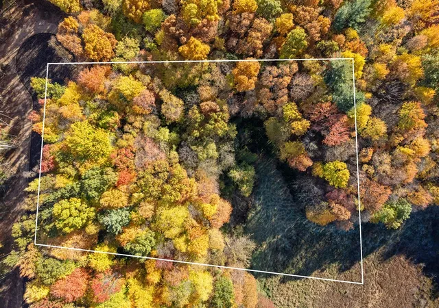 Photo 3 of Land for sale at 11333 Angel Woods Dr, Rockford, MI 49341 | MLS# 70554447 | Listing updated on 2026-09-09