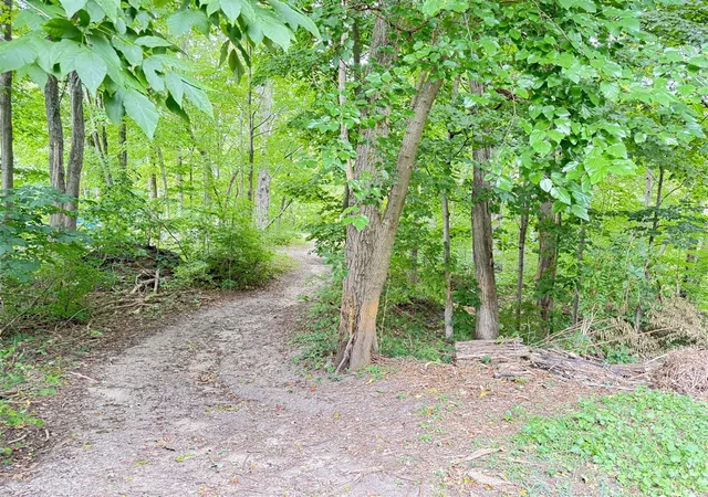 Land for sale at 200 S Water St, Hart, MI 49420 | MLS# 70556084