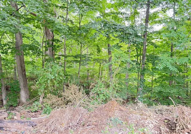 Photo 1 of Land for sale at 200 S Water St, Hart, MI 49420 | MLS# 70556084 | Listing updated on 2026-09-01