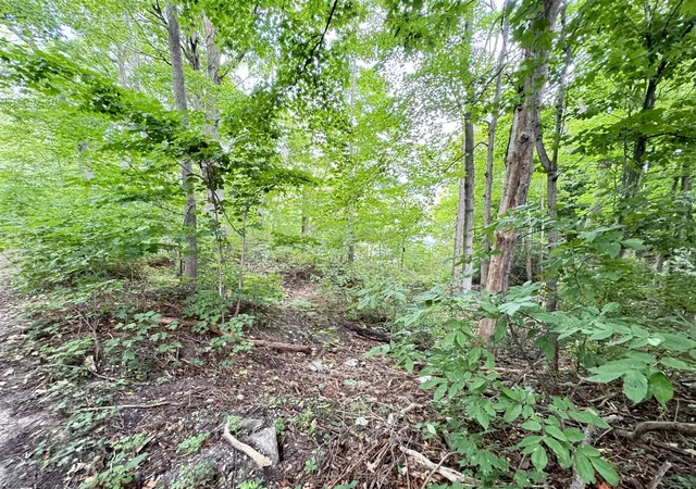 Photo 2 of Land for sale at 200 S Water St, Hart, MI 49420 | MLS# 70556084 | Listing updated on 2026-09-01