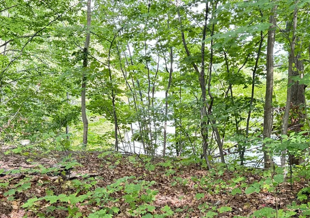 Photo 3 of Land for sale at 200 S Water St, Hart, MI 49420 | MLS# 70556084 | Listing updated on 2026-09-01