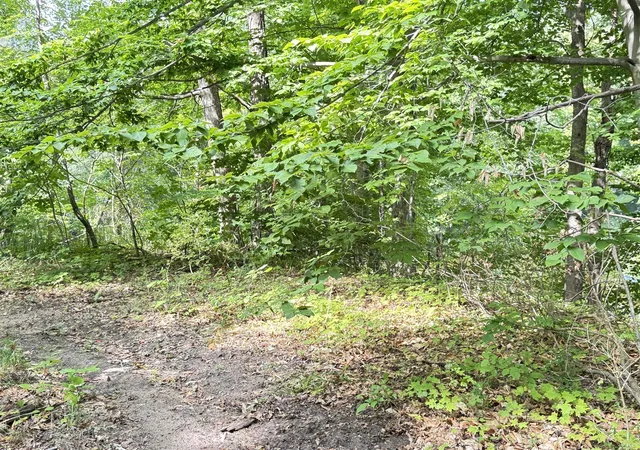Photo 4 of Land for sale at 200 S Water St, Hart, MI 49420 | MLS# 70556084 | Listing updated on 2026-09-01
