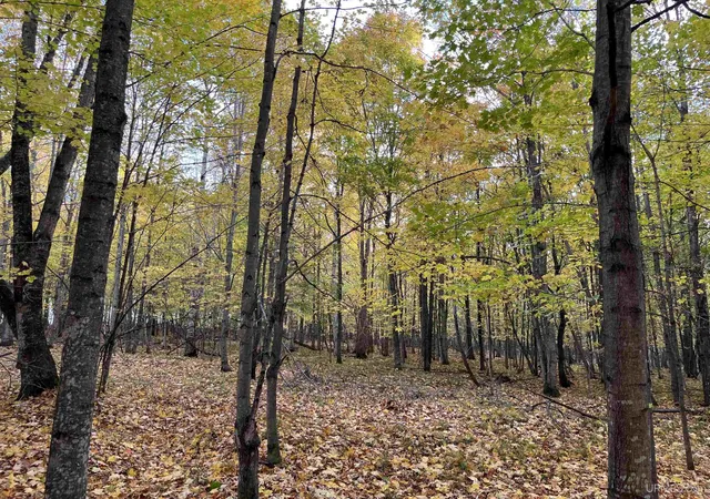 Photo 1 of Land for sale at Lot 6 Porcupine Lake Rd, Long Lake, WI 54542 | MLS# 50224743 | Listing updated on 2026-10-28