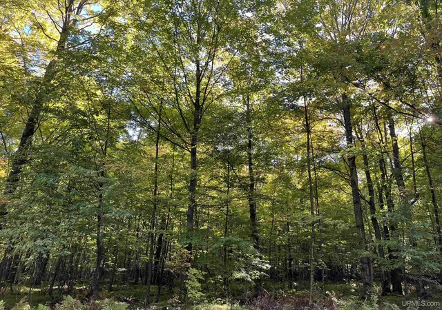Photo 2 of Land for sale at Lot 6 Porcupine Lake Rd, Long Lake, WI 54542 | MLS# 50224743 | Listing updated on 2026-10-28