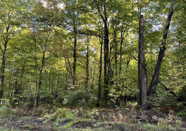 Photo 3 of Land for sale at Lot 6 Porcupine Lake Rd, Long Lake, WI 54542 | MLS# 50224743 | Listing updated on 2026-10-28