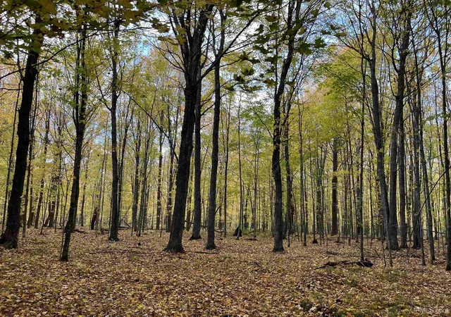 Photo 4 of Land for sale at Lot 6 Porcupine Lake Rd, Long Lake, WI 54542 | MLS# 50224743 | Listing updated on 2026-10-28